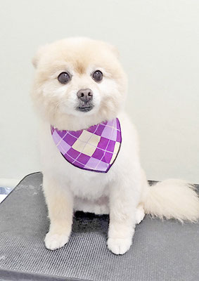 徳留クマちゃん