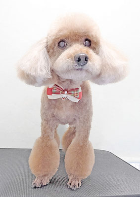 新山モモちゃん