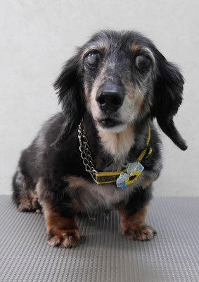 西山ユウちゃん