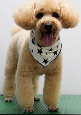 二宮モコちゃん