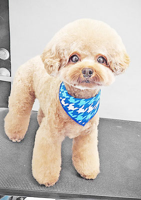 二見りくちゃん