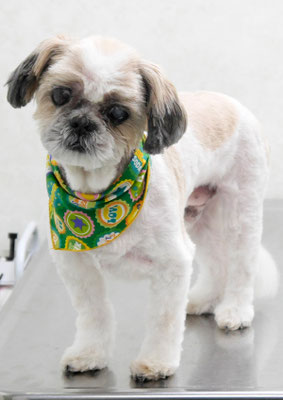 大田ポッキーちゃん