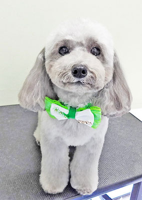 田中ロビンちゃん