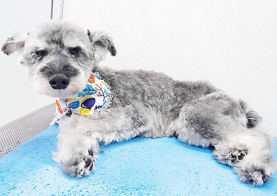 西野来斗ちゃん