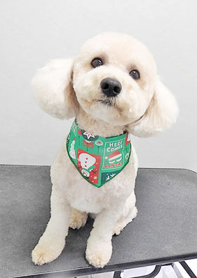 有村ルークちゃん