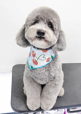 橋口最中ちゃん