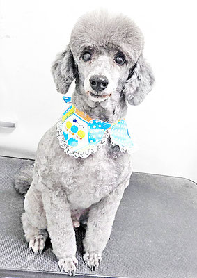 橋口最中ちゃん