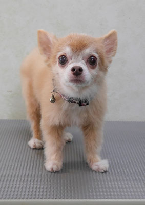 江上ベベちゃん