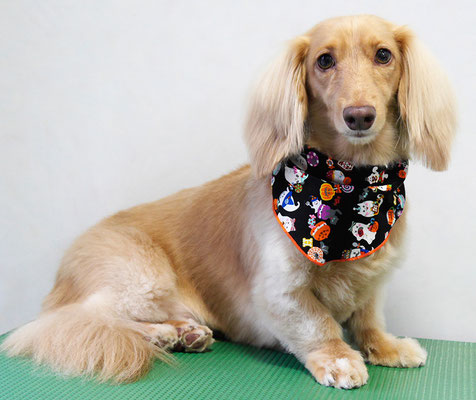 片山マルルちゃん