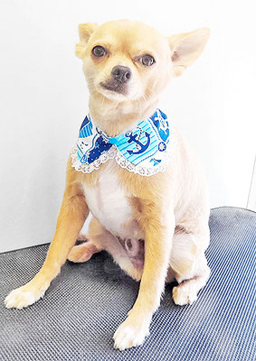 池田リブちゃん