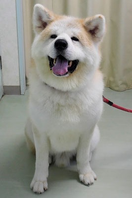 池川ソラちゃん