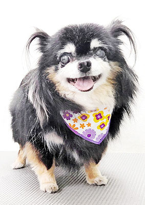 福留まろちゃん