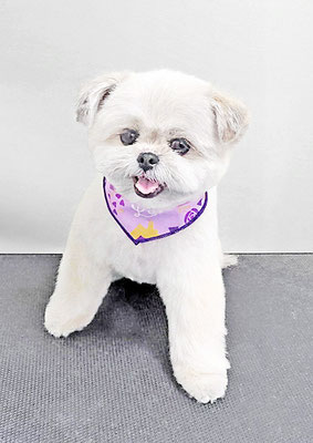 太崎ちゅらちゃん