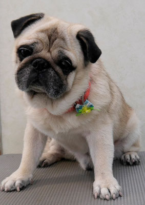 重野ルディちゃん