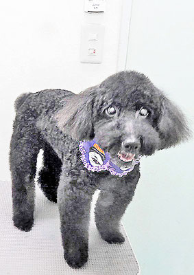 上村エイトちゃん