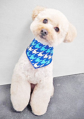 藤久保くうたちゃん