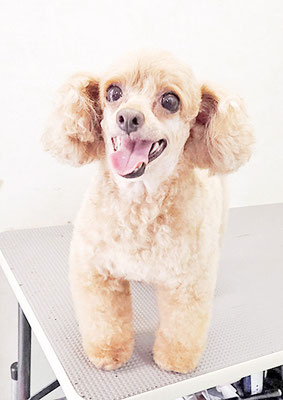 森崎ネネちゃん