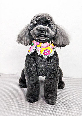 石田おはぎちゃん