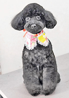 野口サニーちゃん