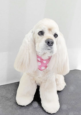 福富ベリーちゃん