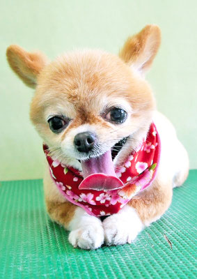 川田オカンちゃん