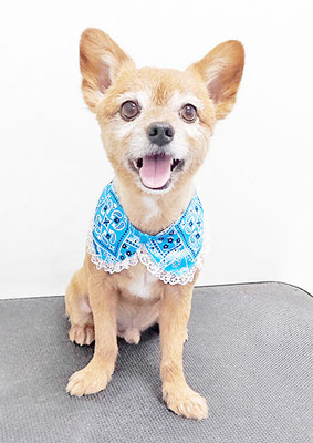 助村ルウちゃん