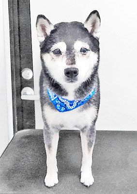 岩﨑レイちゃん