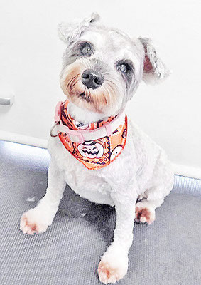 新田つむぎちゃん