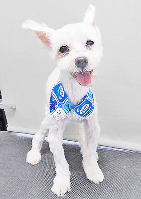 福元ミルクちゃん