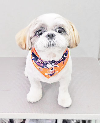 谷口ちょこちゃん