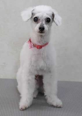 今村ハイジちゃん