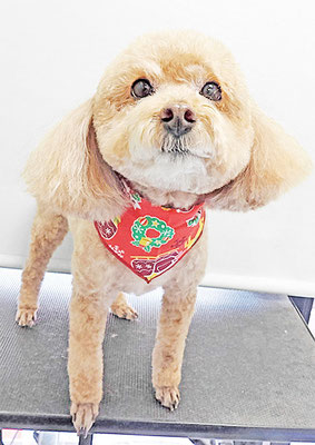 冨永モカちゃん