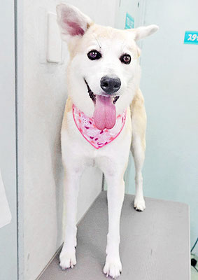 富永リリーちゃん