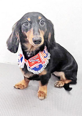 中薗ラテちゃん