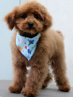 森田諭吉ちゃん