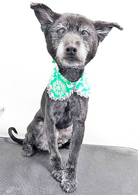 中田タロウちゃん