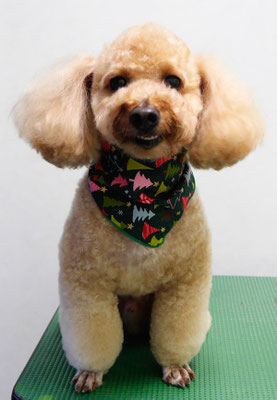 二宮モコちゃん