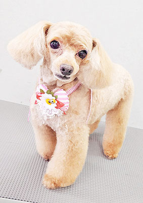 森崎ネネちゃん