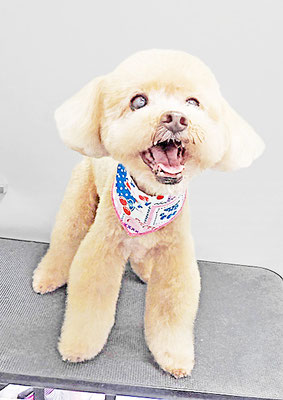 堀内まりもちゃん