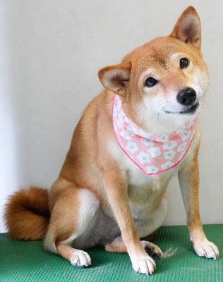 有馬コナツちゃん