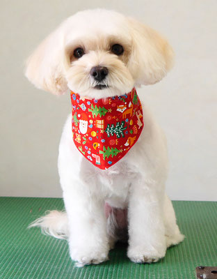 濱島クレアちゃん