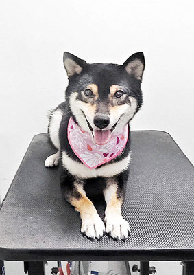 西元風子ちゃん