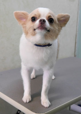 良久ちぃたちゃん