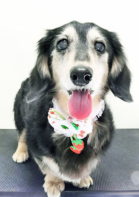 湯田モモちゃん