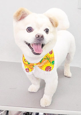 中園モカちゃん