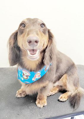 楠畑ルークちゃん