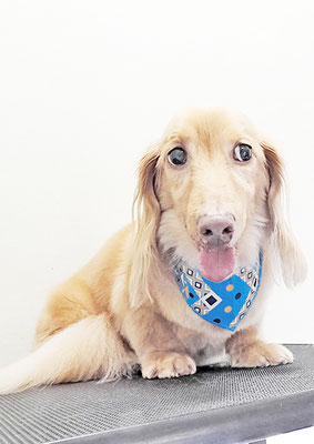 前薗パルちゃん