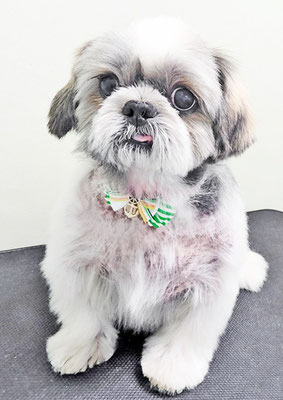 有馬陸斗ちゃん