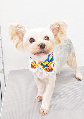 源川源之介ちゃん