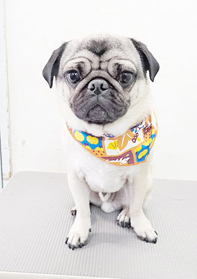 田邊ギンちゃん